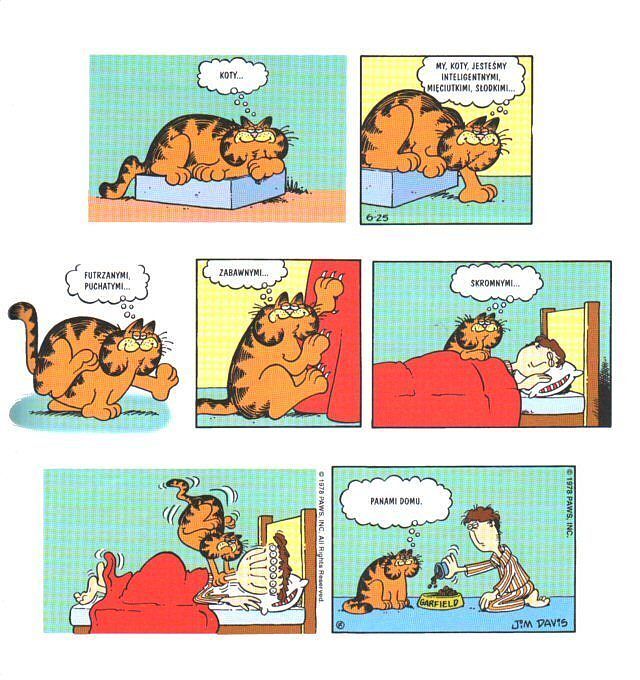 Garfield: Skarbiec - 1