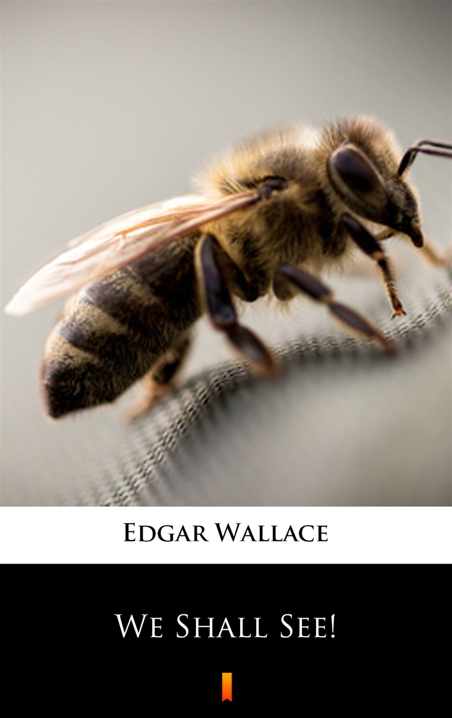 We Shall See! (e-book)