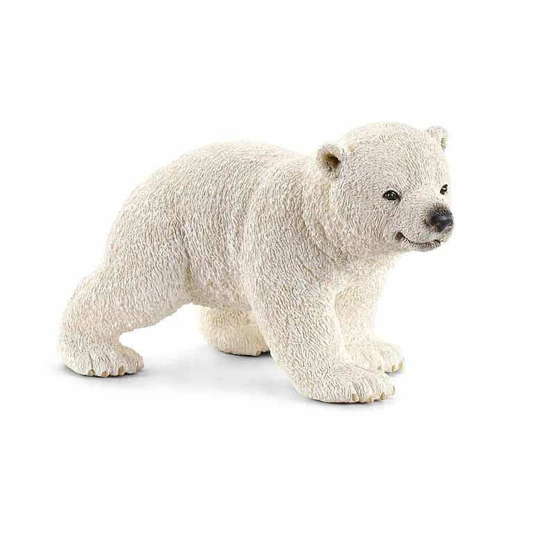 Młody miś polarny slh14708