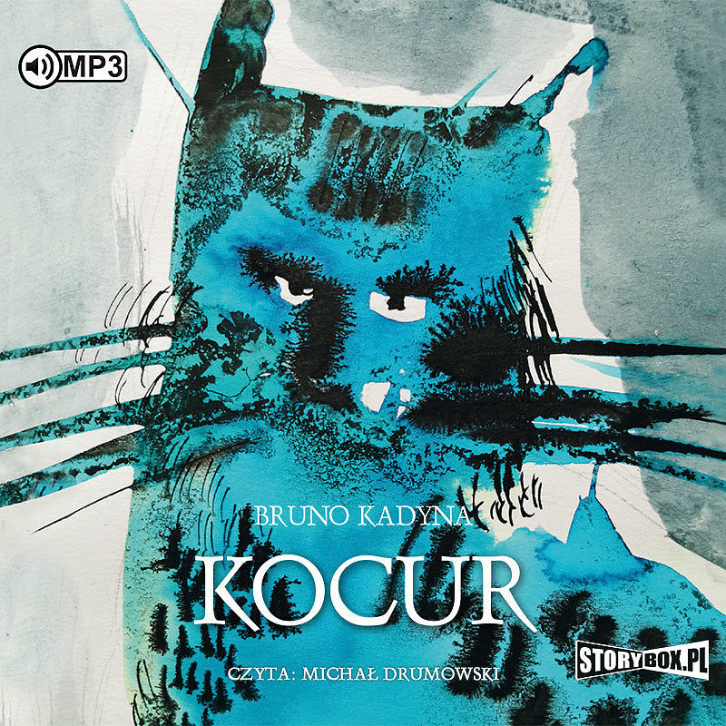 Cd mp3 kocur
