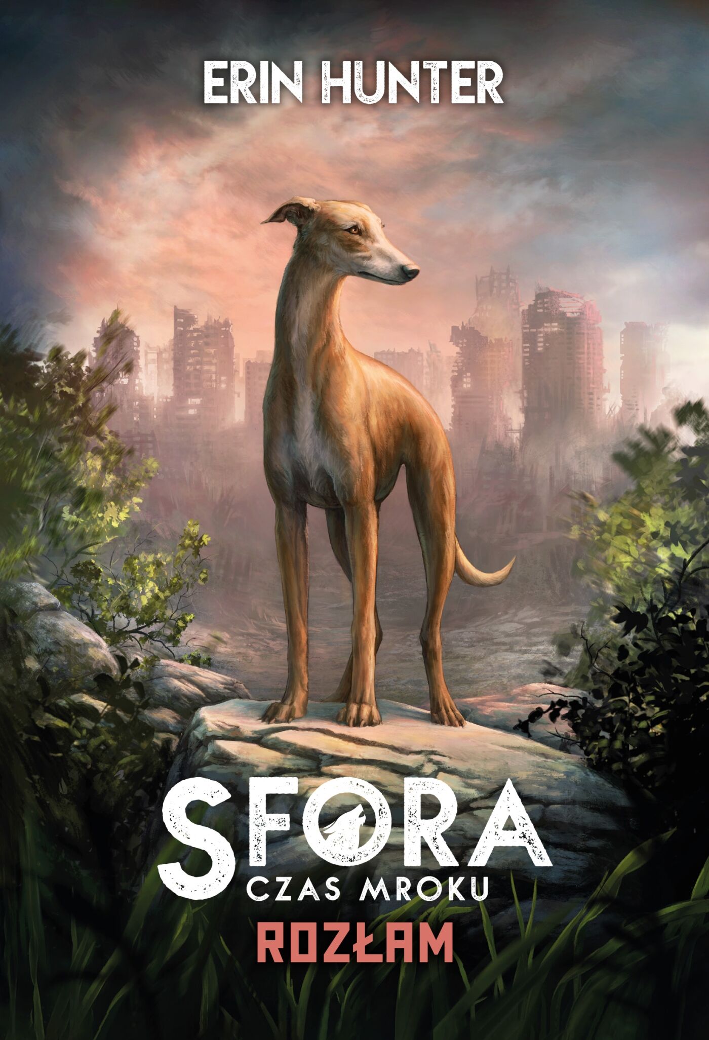 Rozłam. Sfora. Czas mroku tom 1 (e-book)