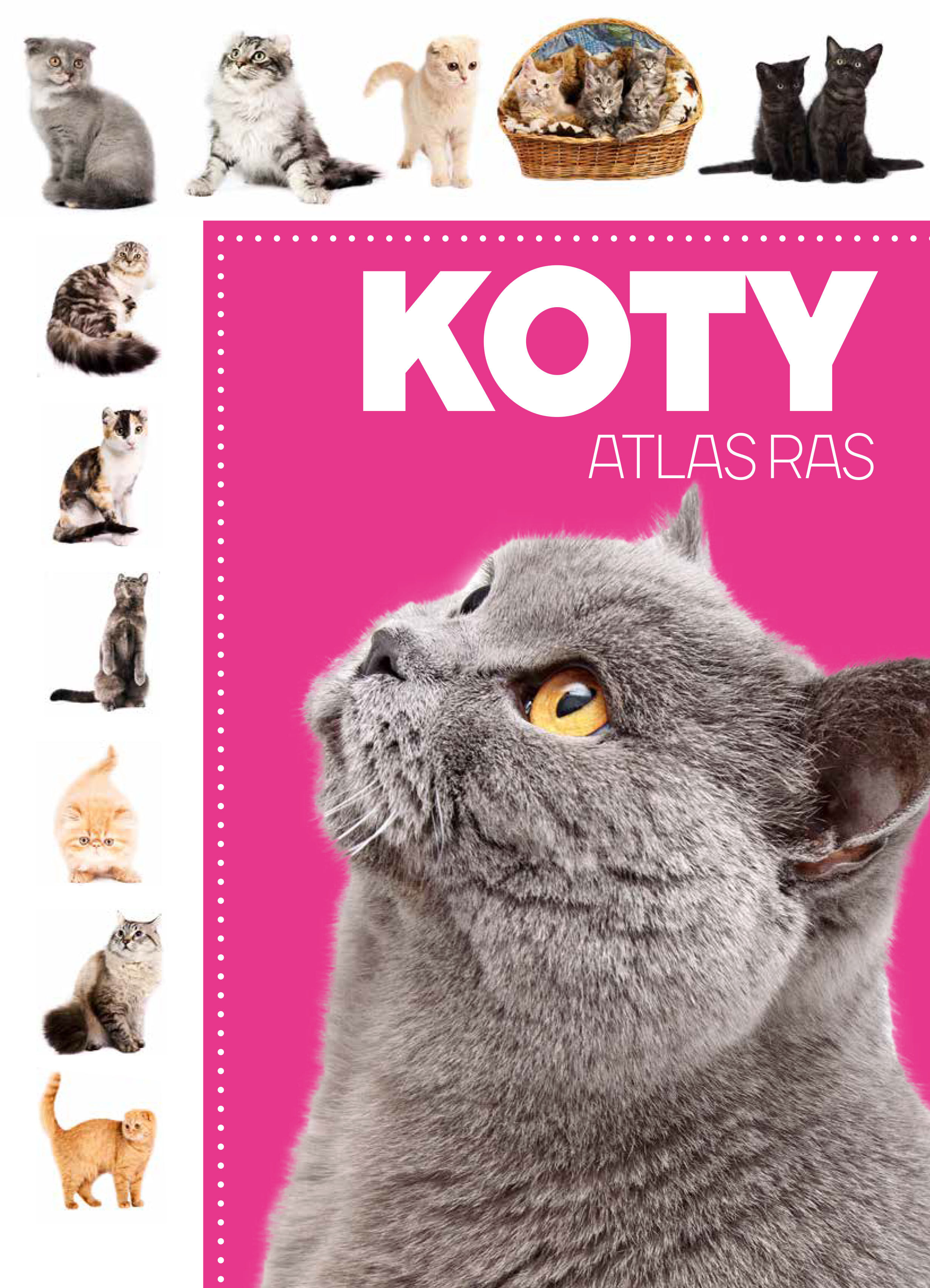 Atlas ras. Koty