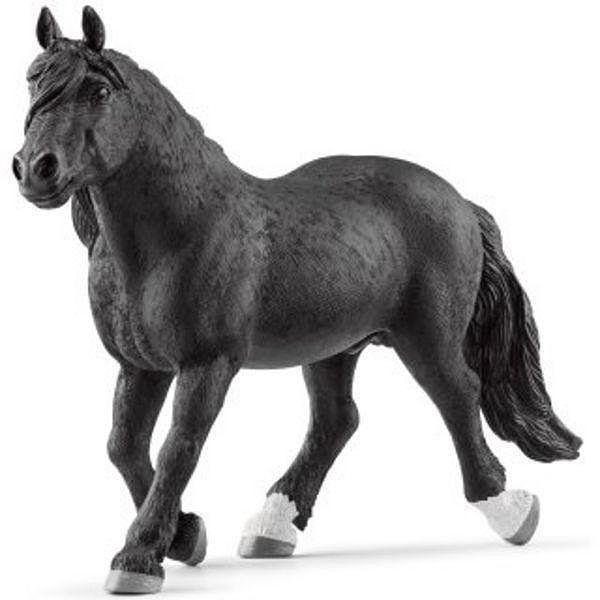 Ogier rasy noriker slh13958