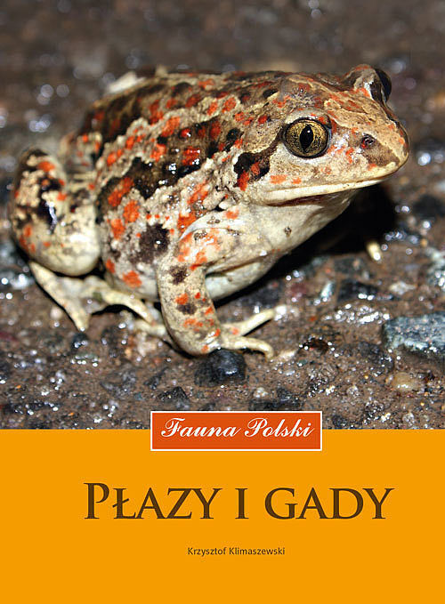 Płazy i gady. Fauna polski wyd. 2023