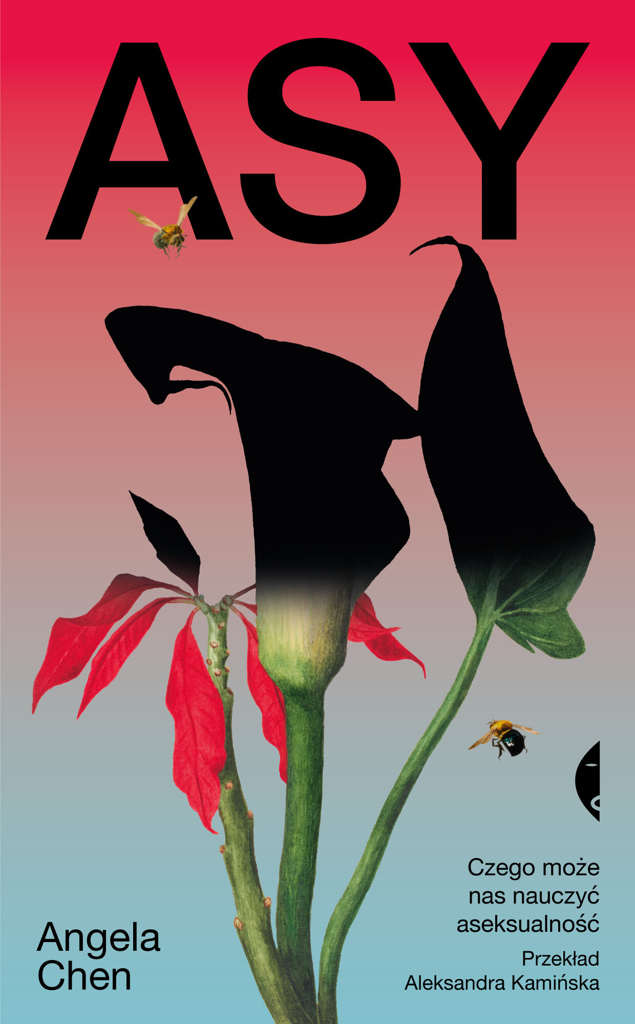 Asy (e-book)