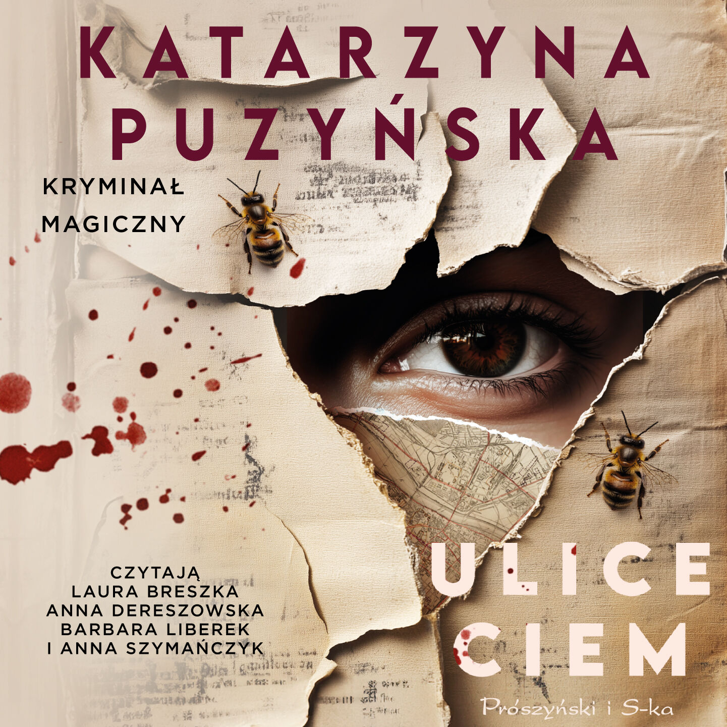 Ulice ciem (audiobook MP3)