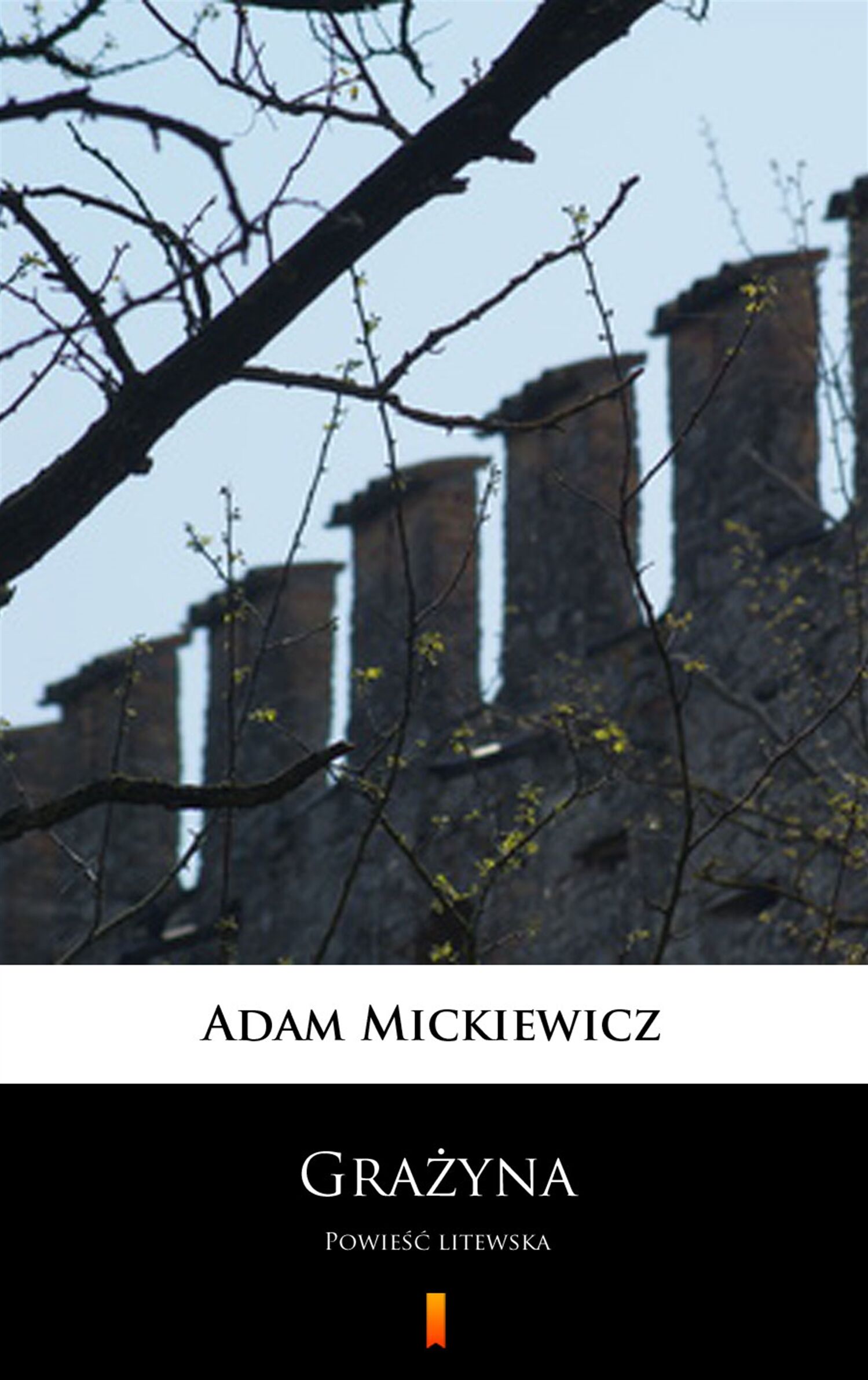Grażyna (e-book)