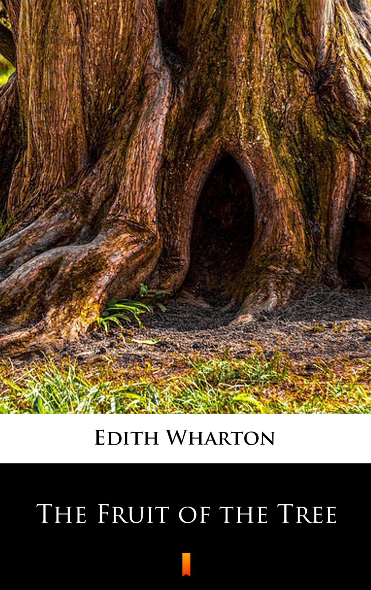 The Fruit of the Tree (e-book)