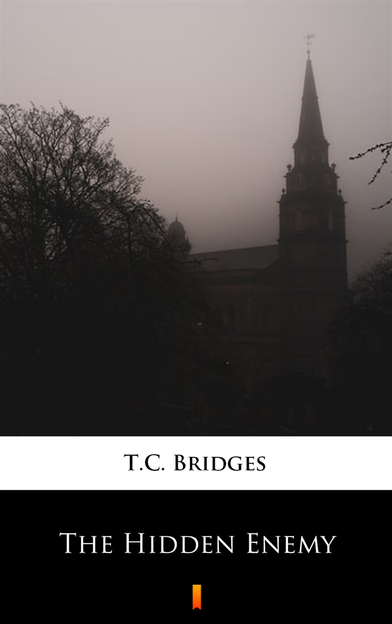 The Hidden Enemy (e-book)