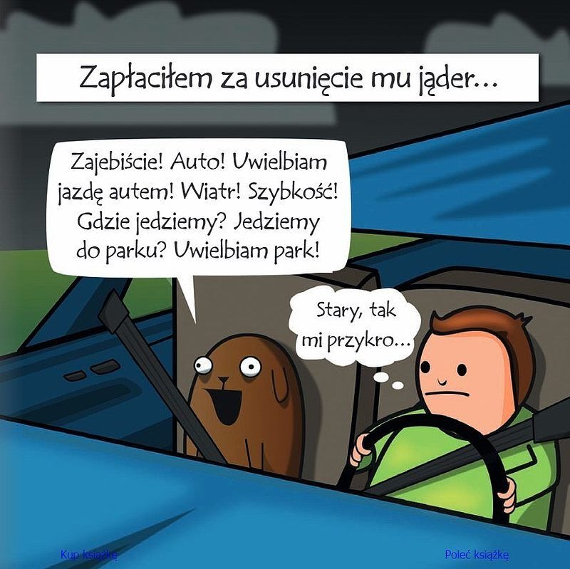 Mój pies - paradoks wcielony