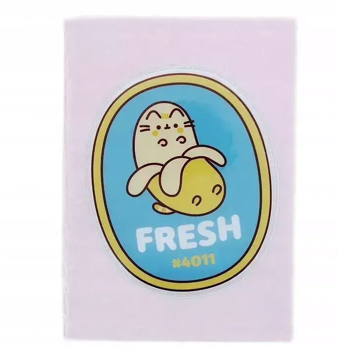 Notes pluszowy pusheen purf6002
