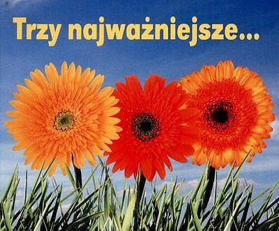 Trzy najważniejsze. Perełki