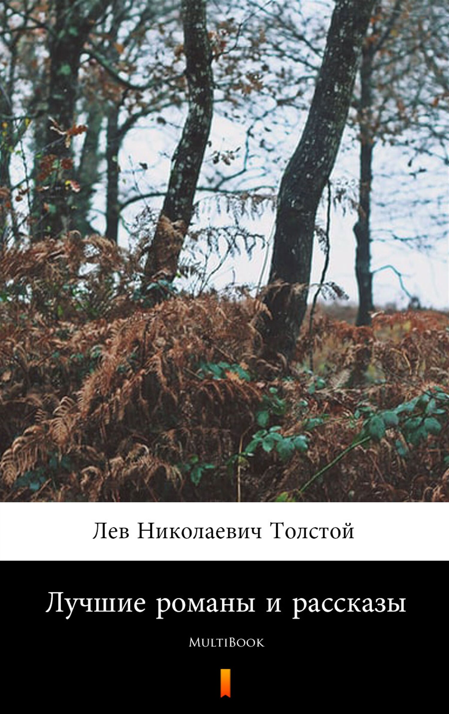 Лучшие романы и рассказы (e-book)