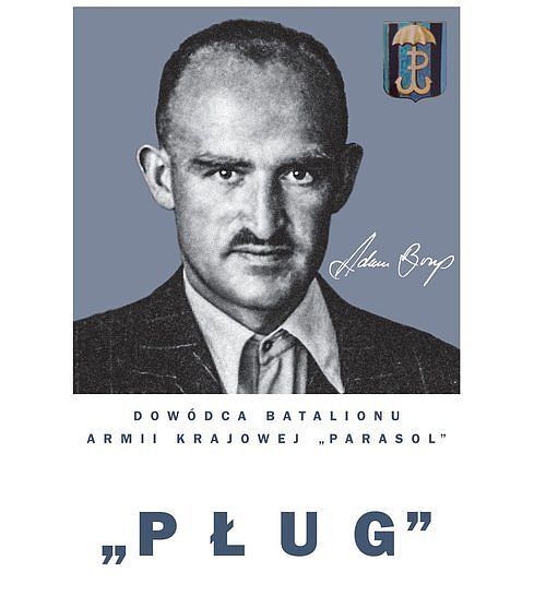 Pług