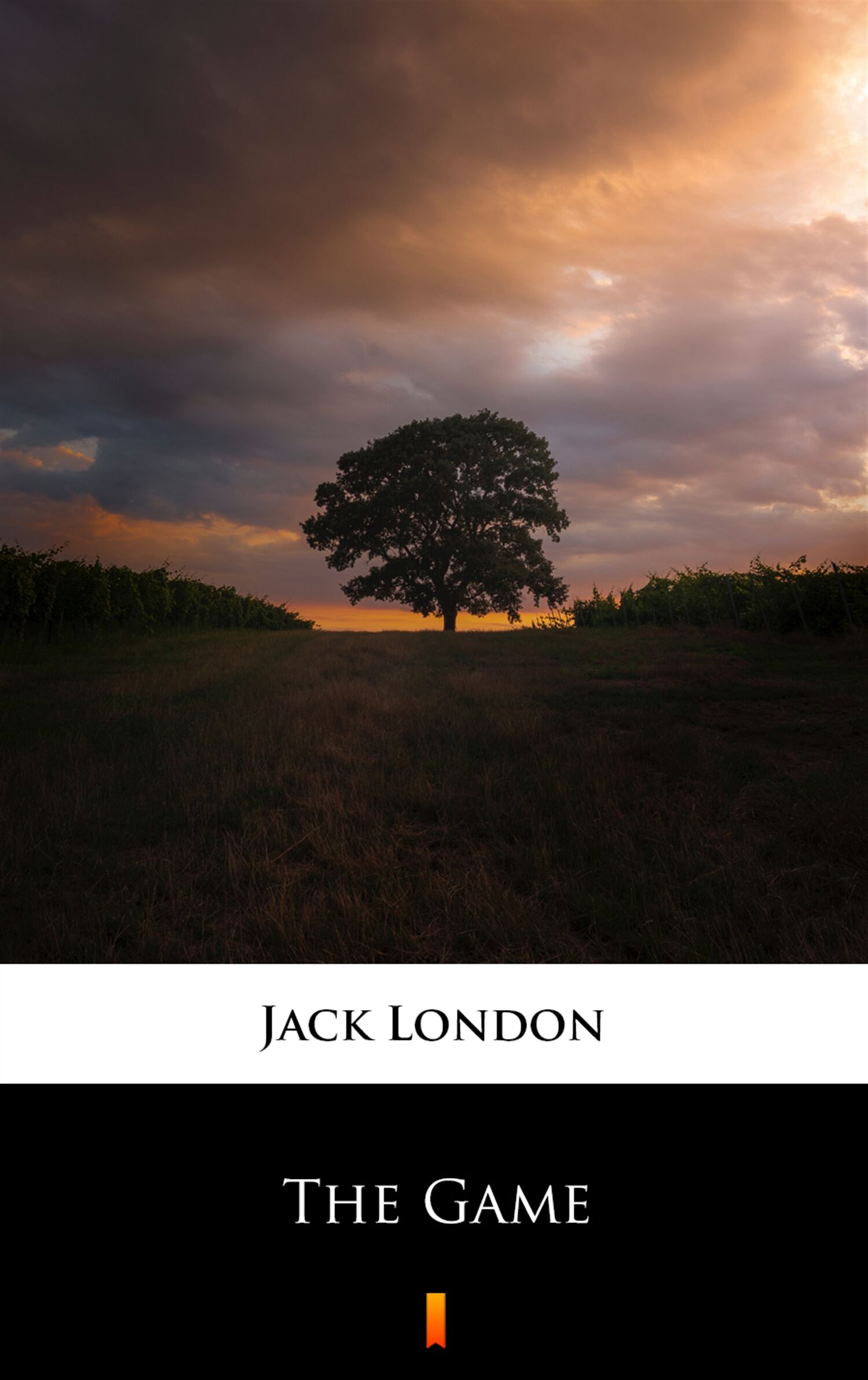 The Game (e-book)