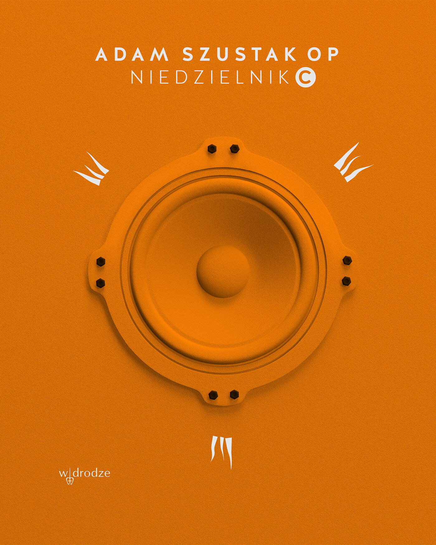 Niedzielnik C. Komentarze do czytań (e-book)