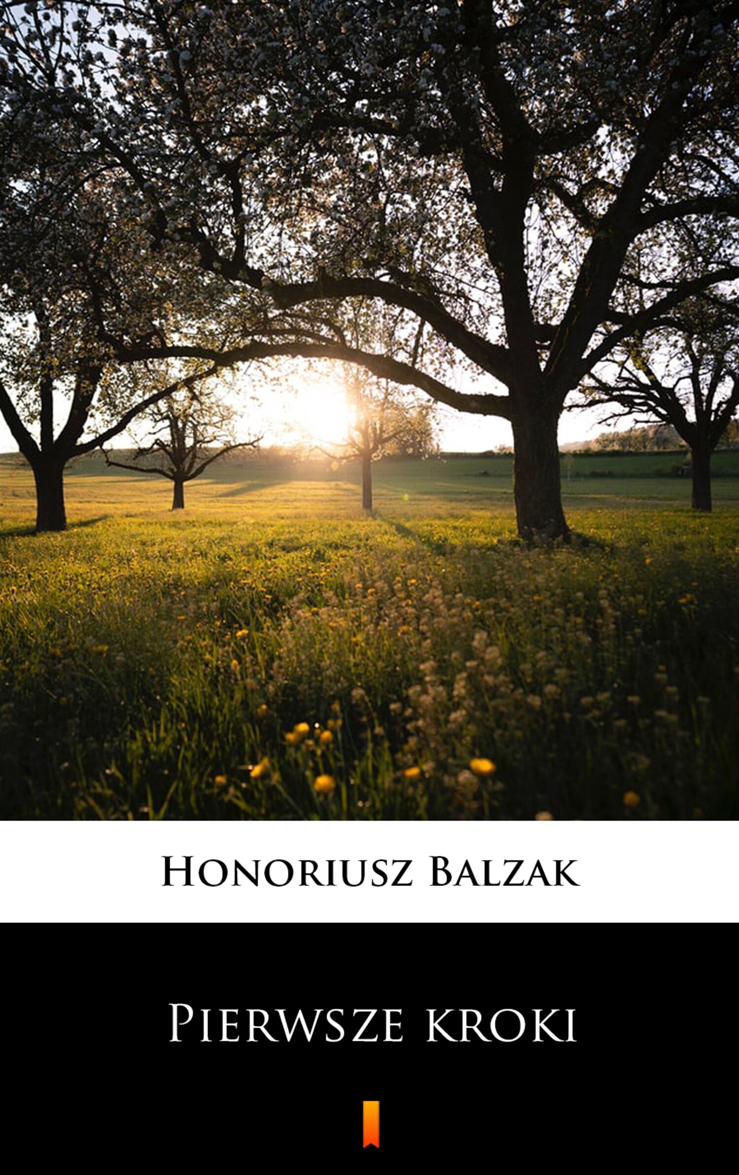 Pierwsze kroki (e-book)