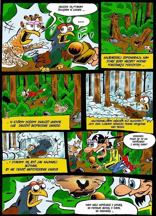 Natura dla tych co mają pazury i pióra