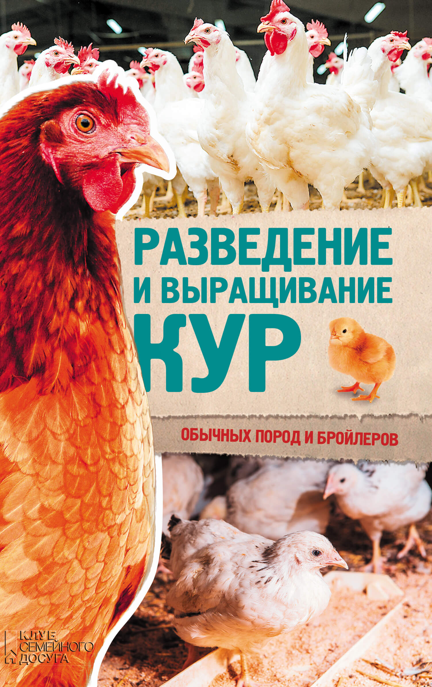 Разведение и выращивание кур обычных пород и бройлеров (e-book)