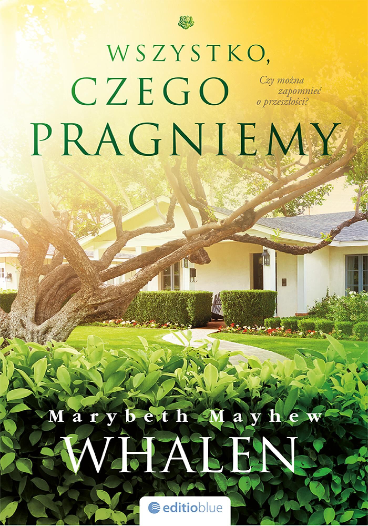 Wszystko, czego pragniemy (e-book)