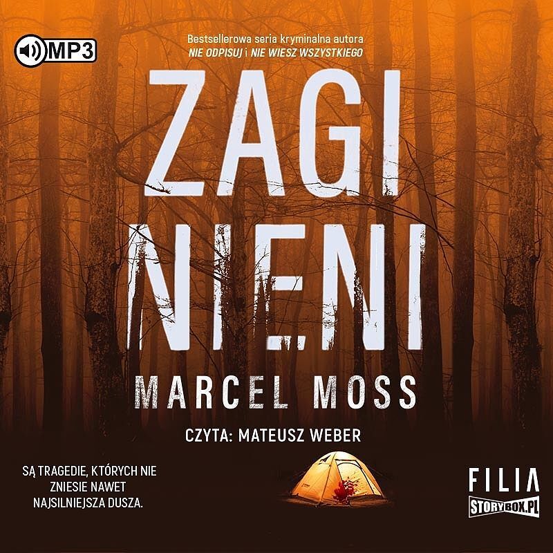 Zaginieni (audiobook CD)