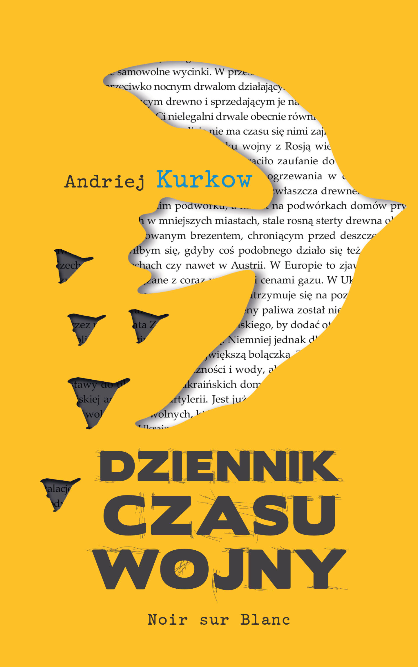 Dziennik czasu wojny (e-book)