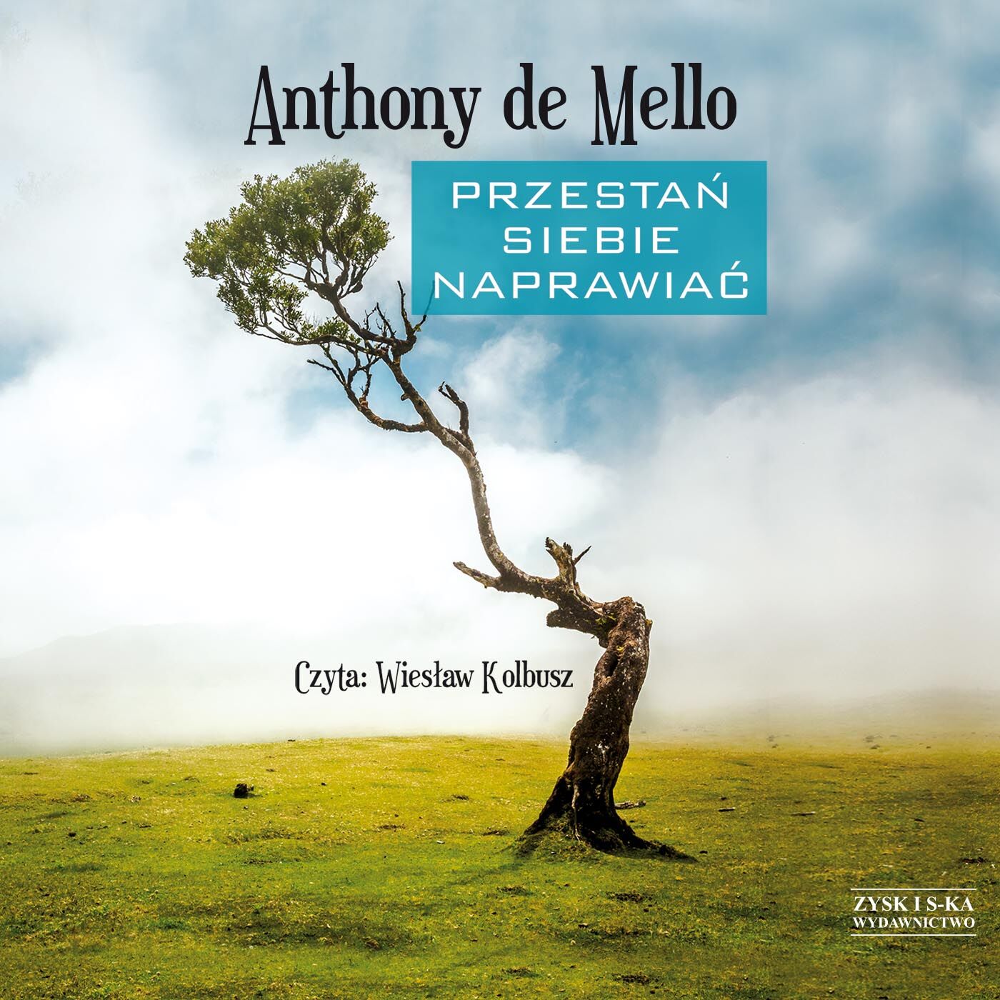 Przestań siebie naprawiać (audiobook MP3)