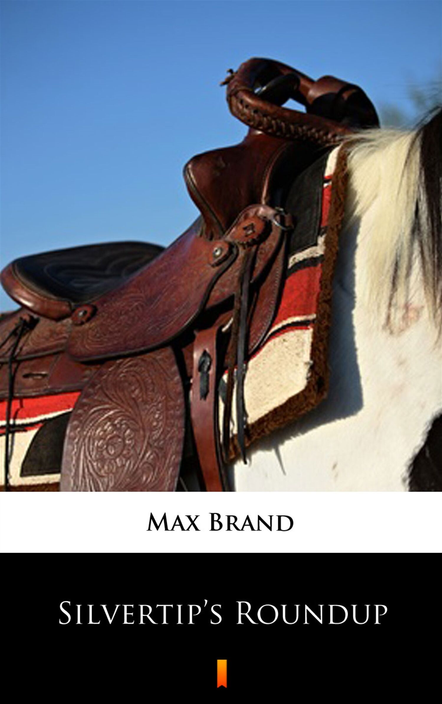 Silvertip’s Roundup (e-book)