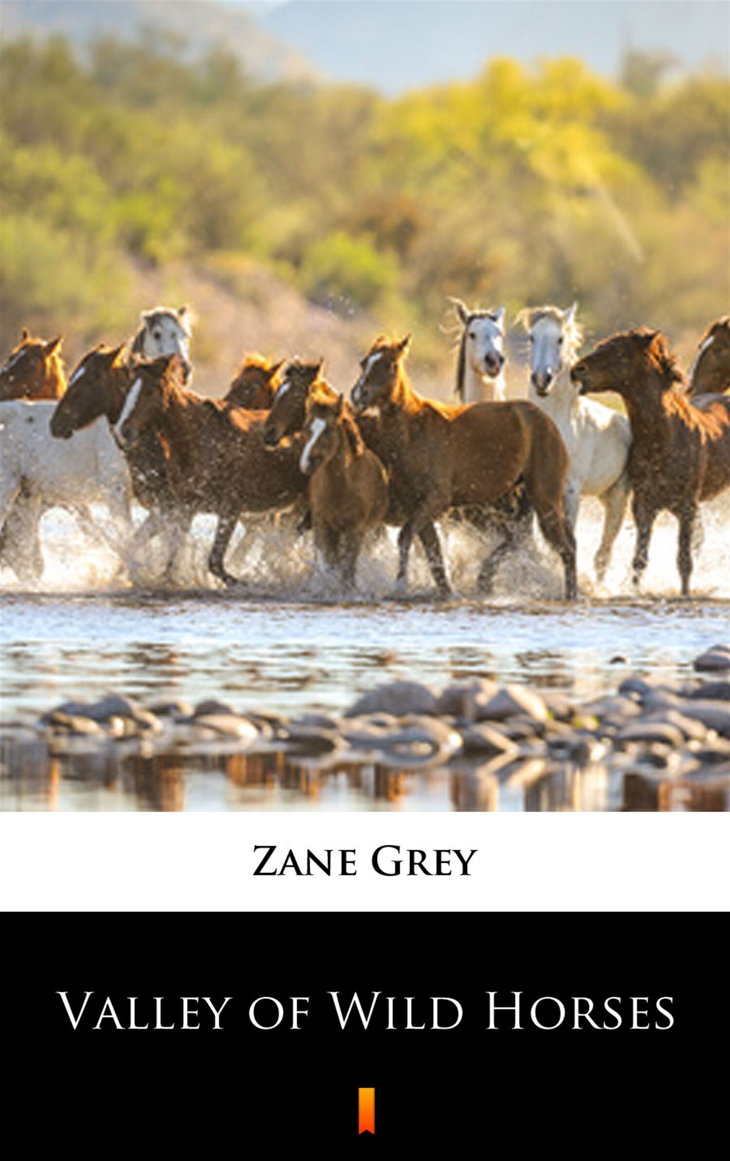 Valley of Wild Horses (e-book)