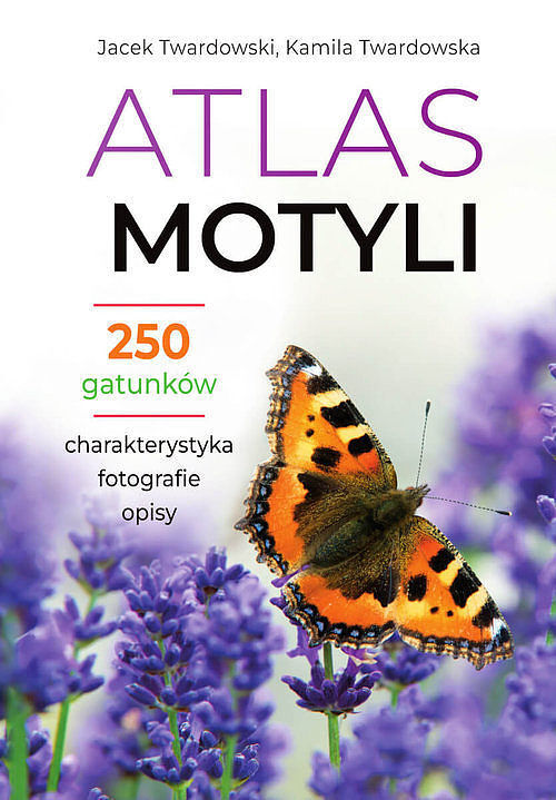 Atlas motyli