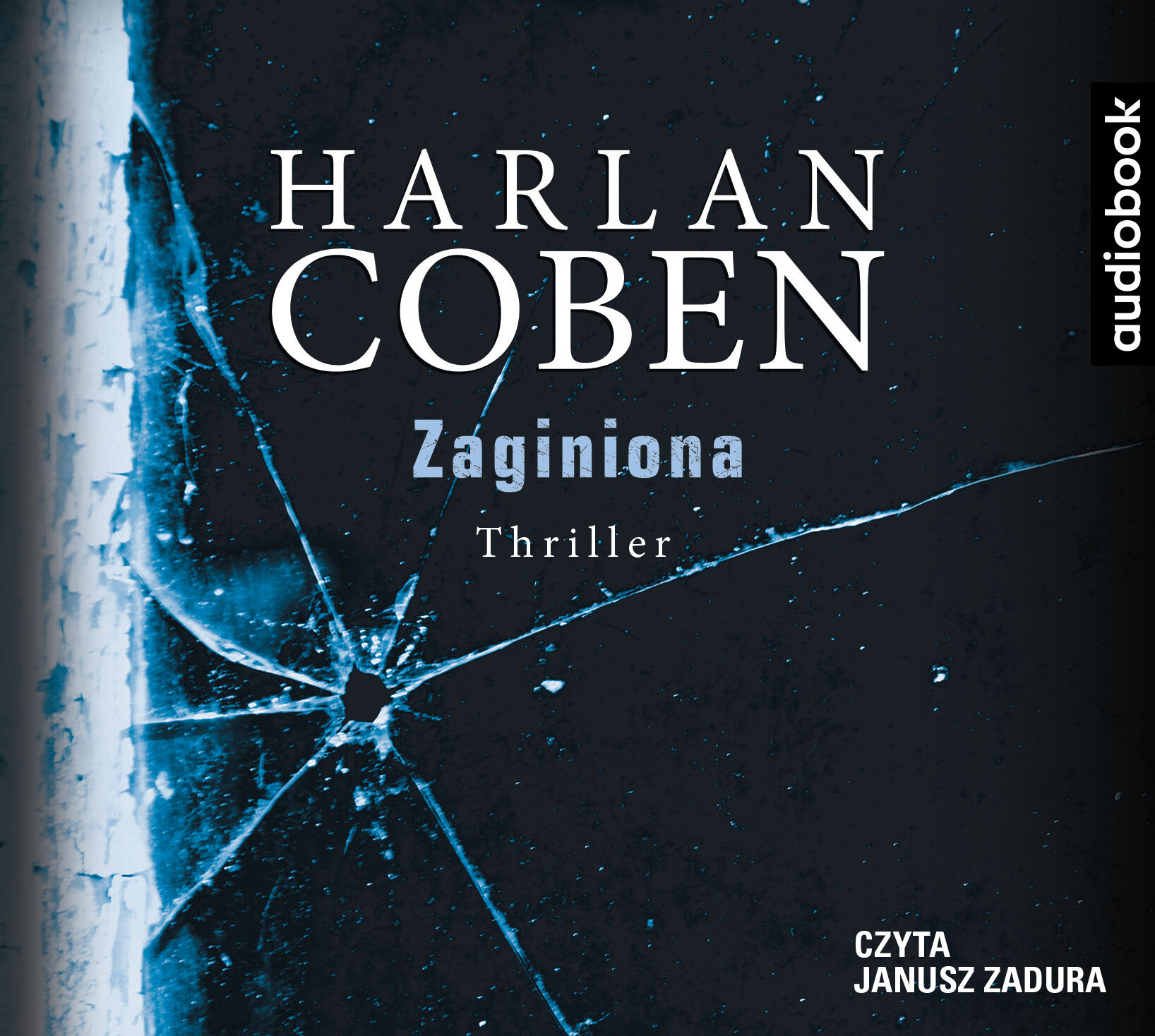 Zaginiona - CD (audiobook CD)