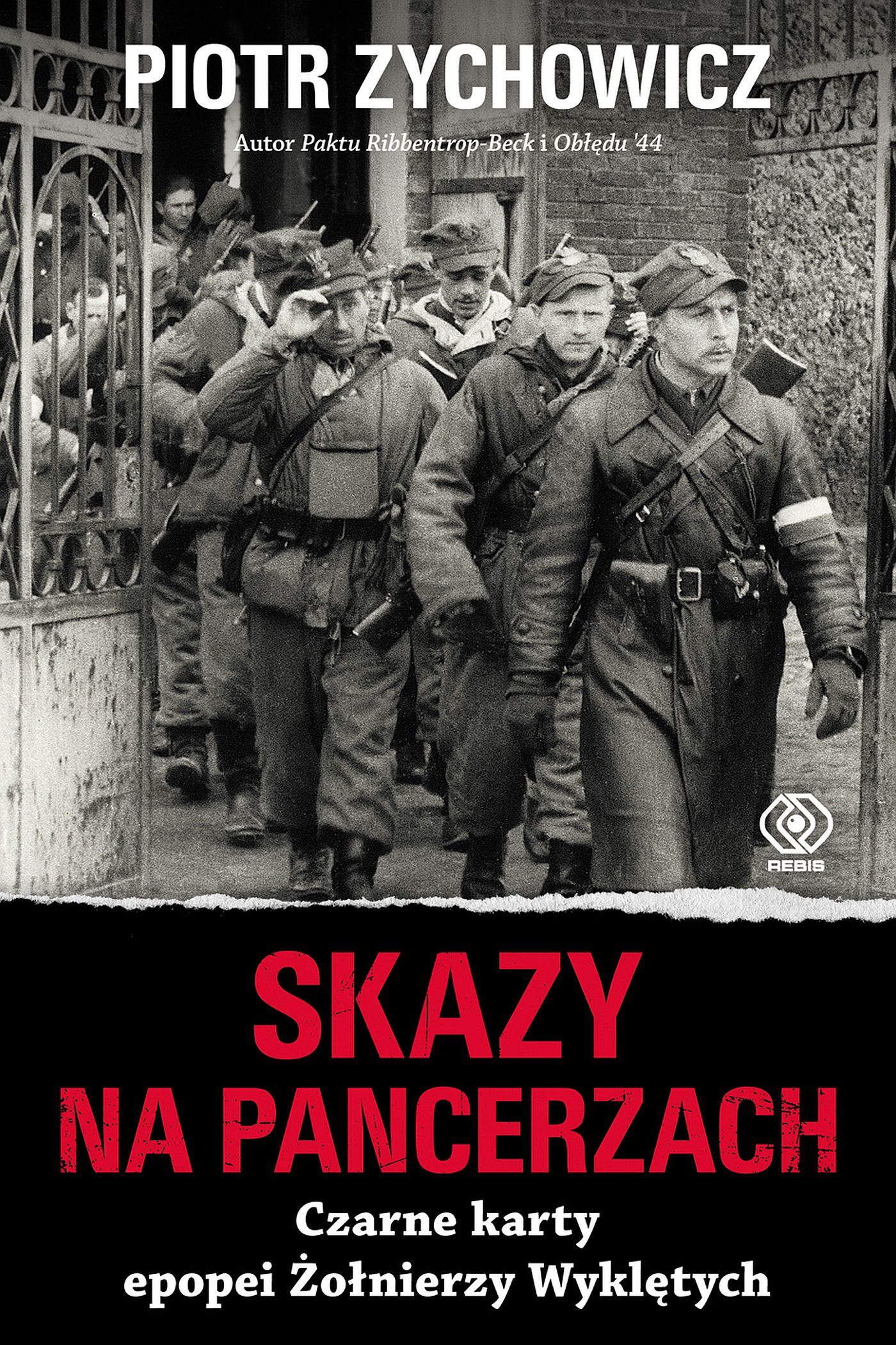 Skazy na pancerzach (e-book)