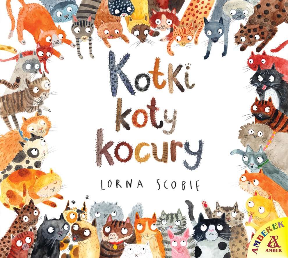 Kotki koty kocury