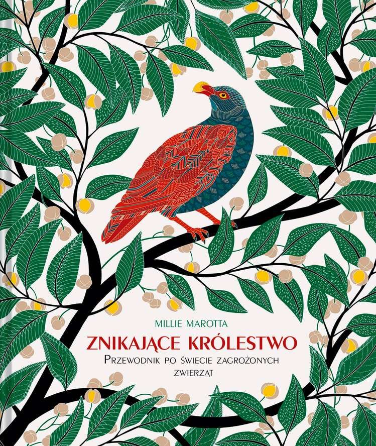 Znikające królestwo przewodnik po świecie zagrożonych zwierząt
