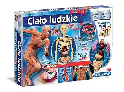Ciało ludzkie