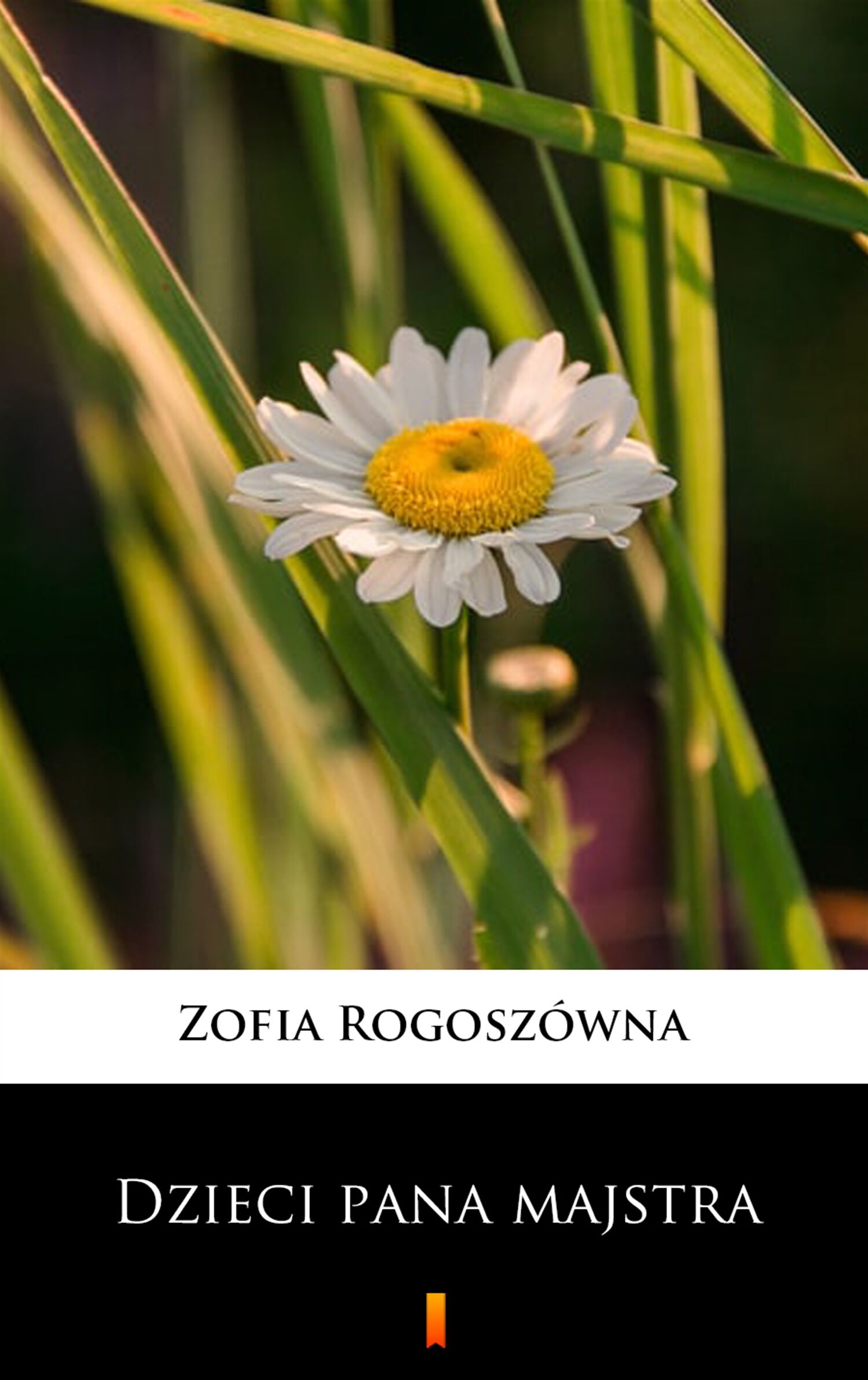 Dzieci pana majstra (e-book)