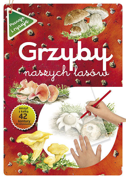 Grzyby naszych lasów wyd. 2021