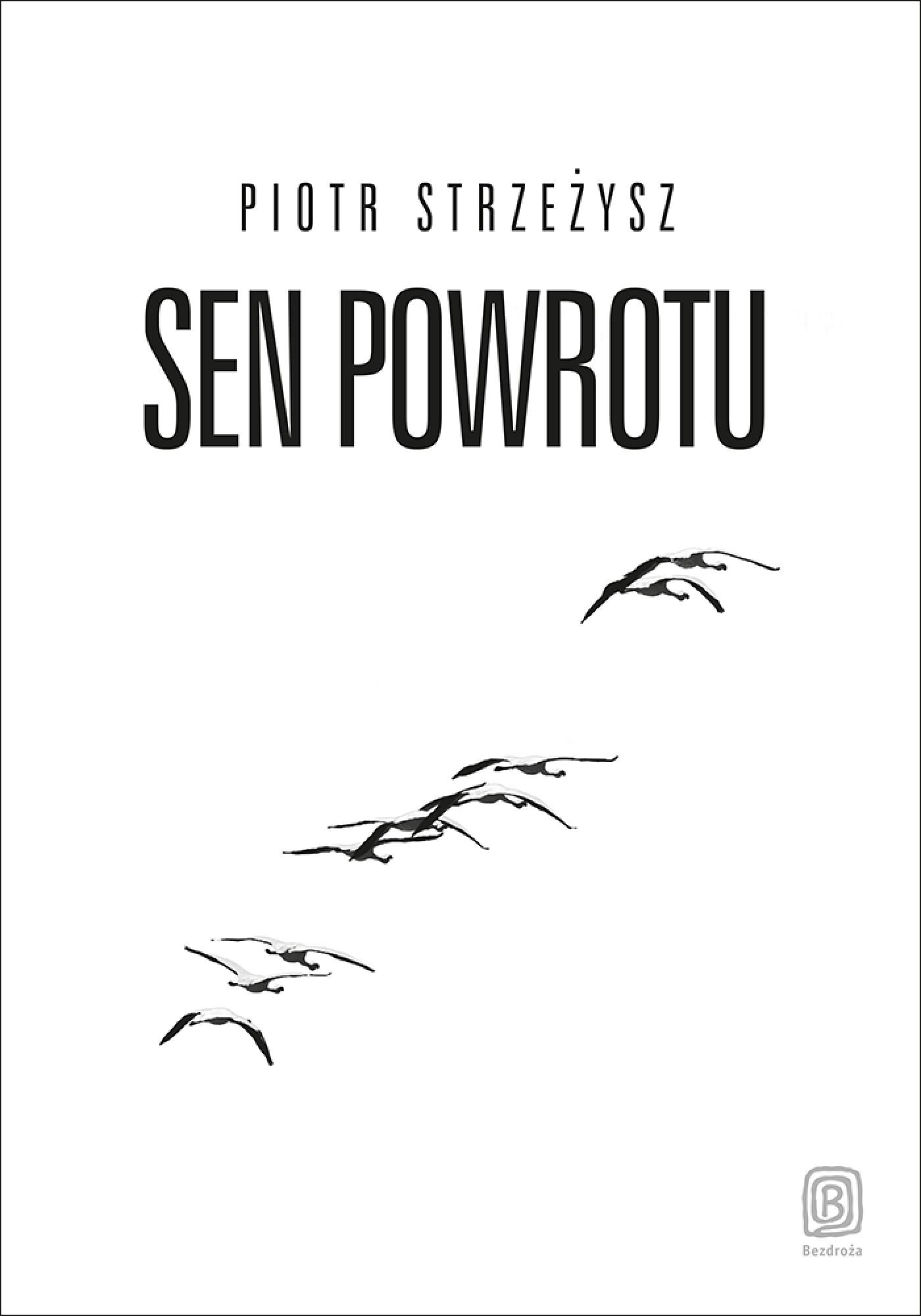 Sen powrotu (e-book)