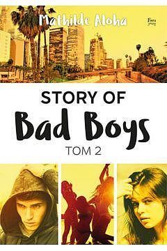 Story of Bad Boys 2