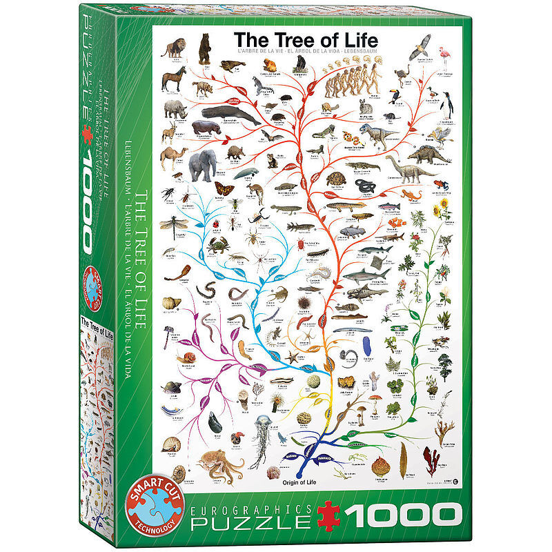 Puzzle 1000 drzewo życia 6000-0282
