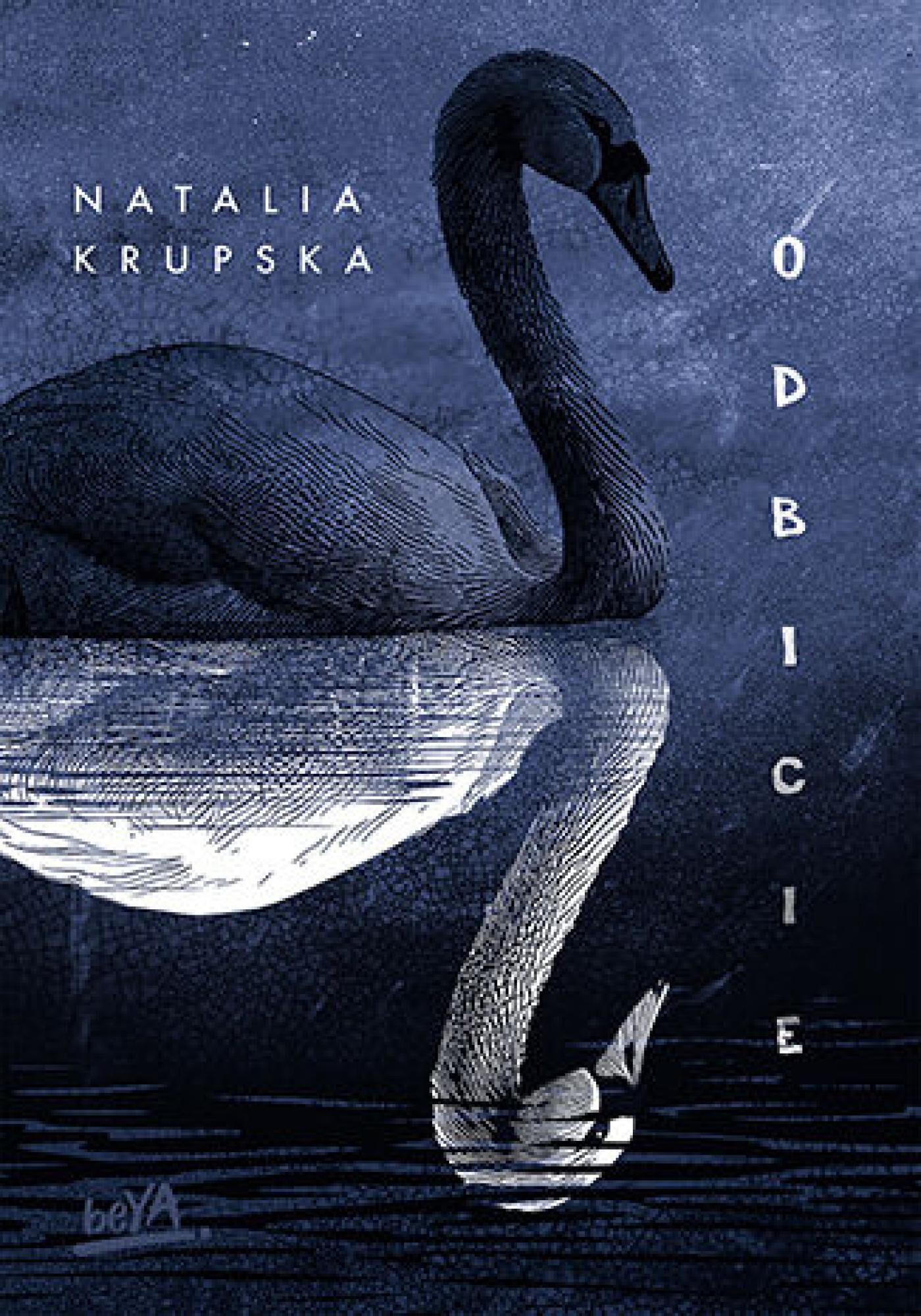 Odbicie (e-book)