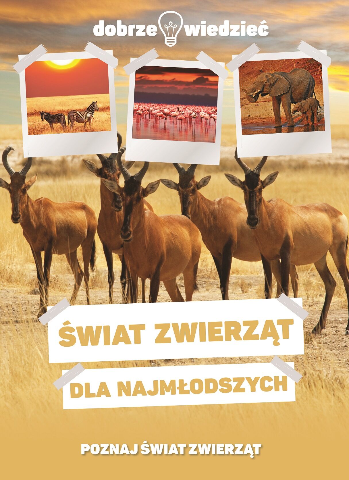 Dobrze wiedzieć. Świat zwierząt dla najmłodszych