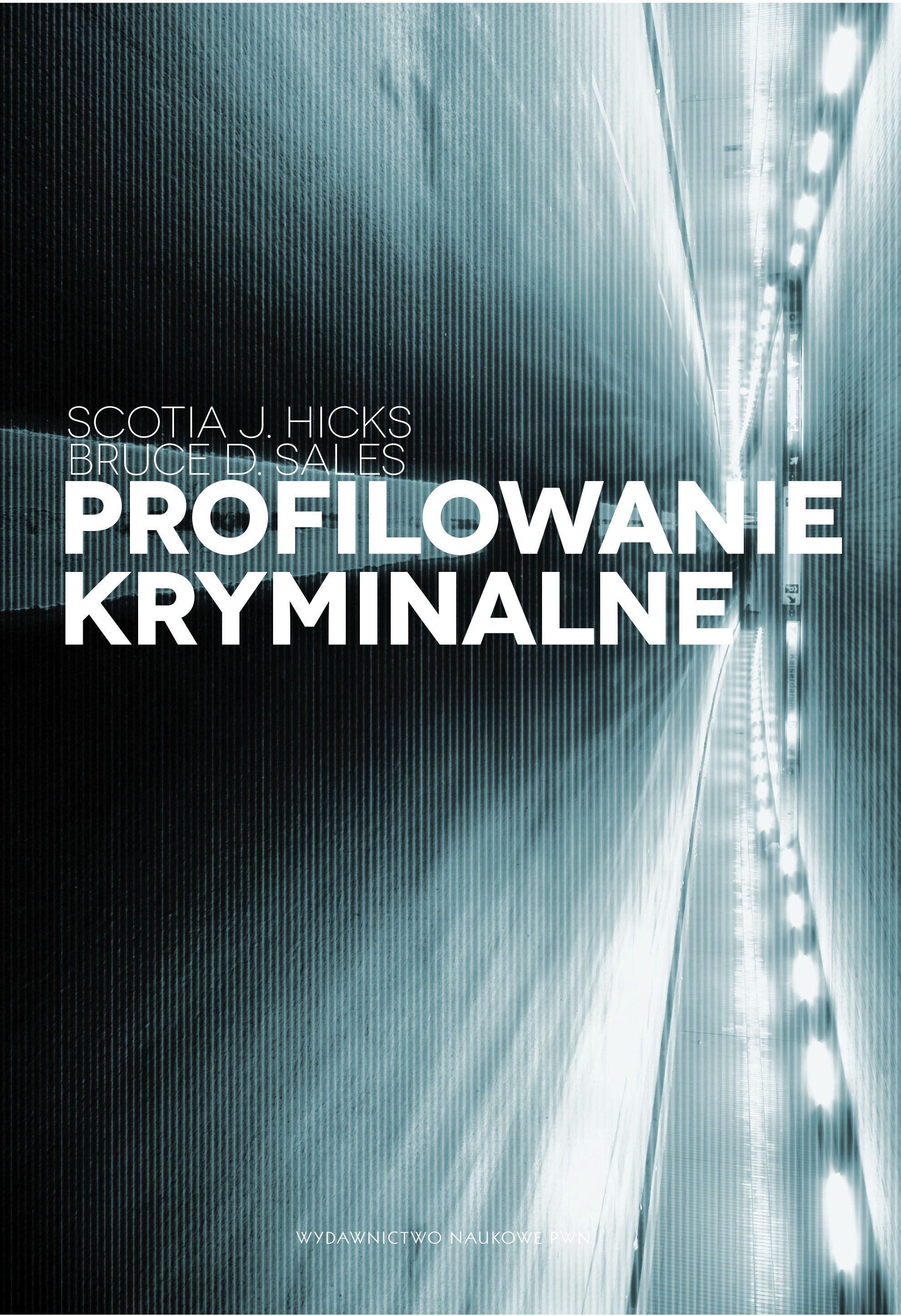 Profilowanie kryminalne