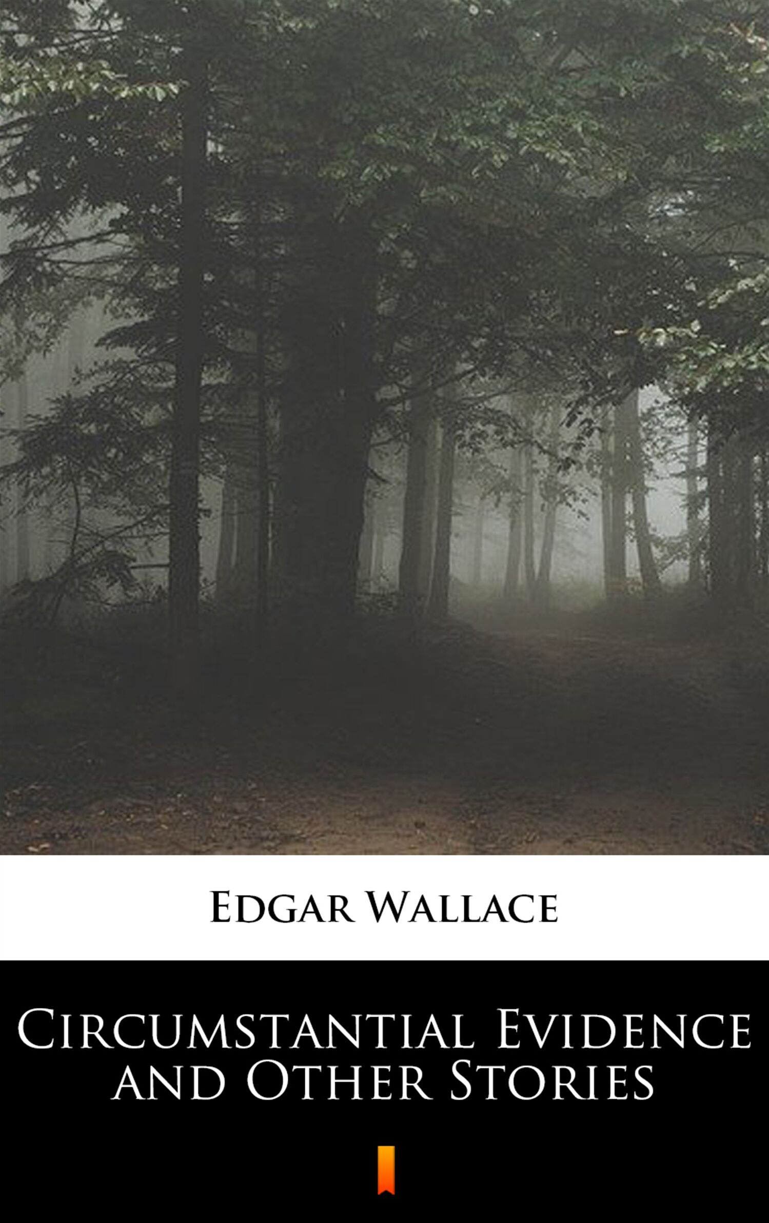 Circumstantial Evidence and Other Stories (e-book)