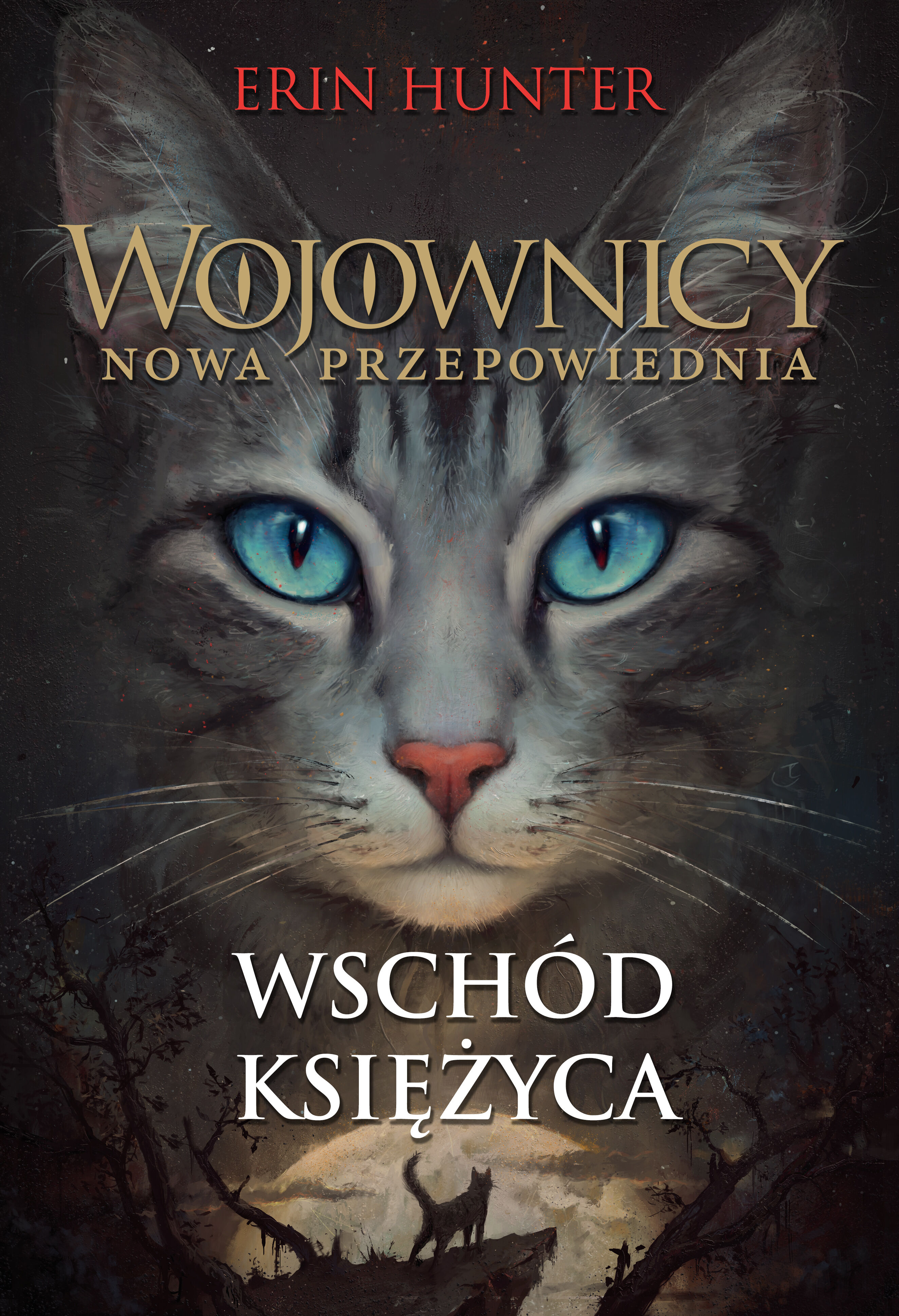 Wschód księżyca (e-book)