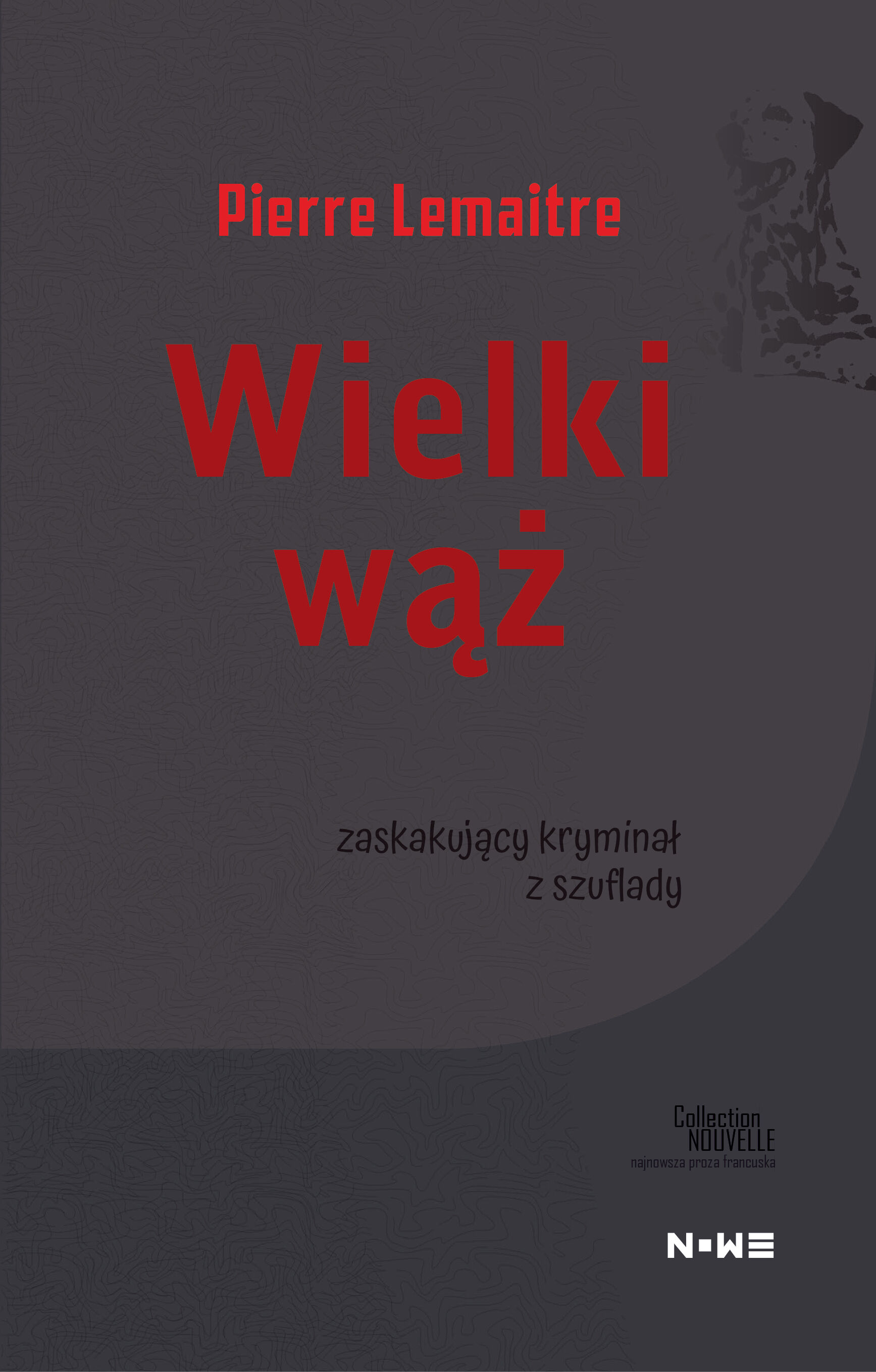 Wielki wąż (e-book)