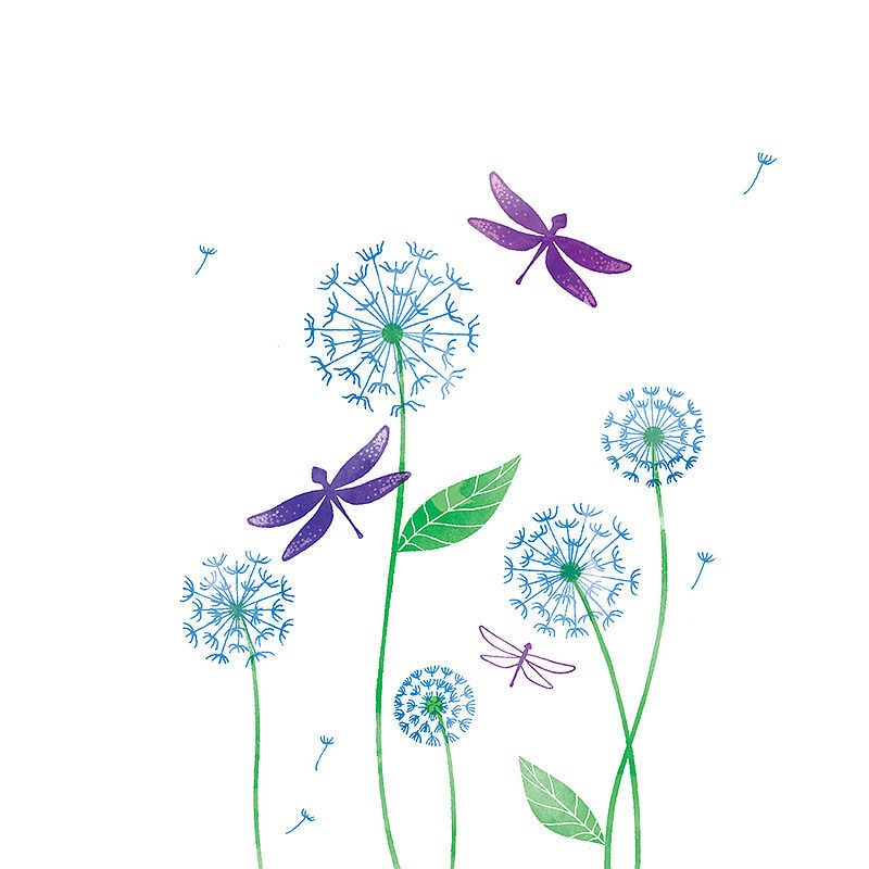 Karnet swarovski kwadrat cl2612 dmuchawce i ważki