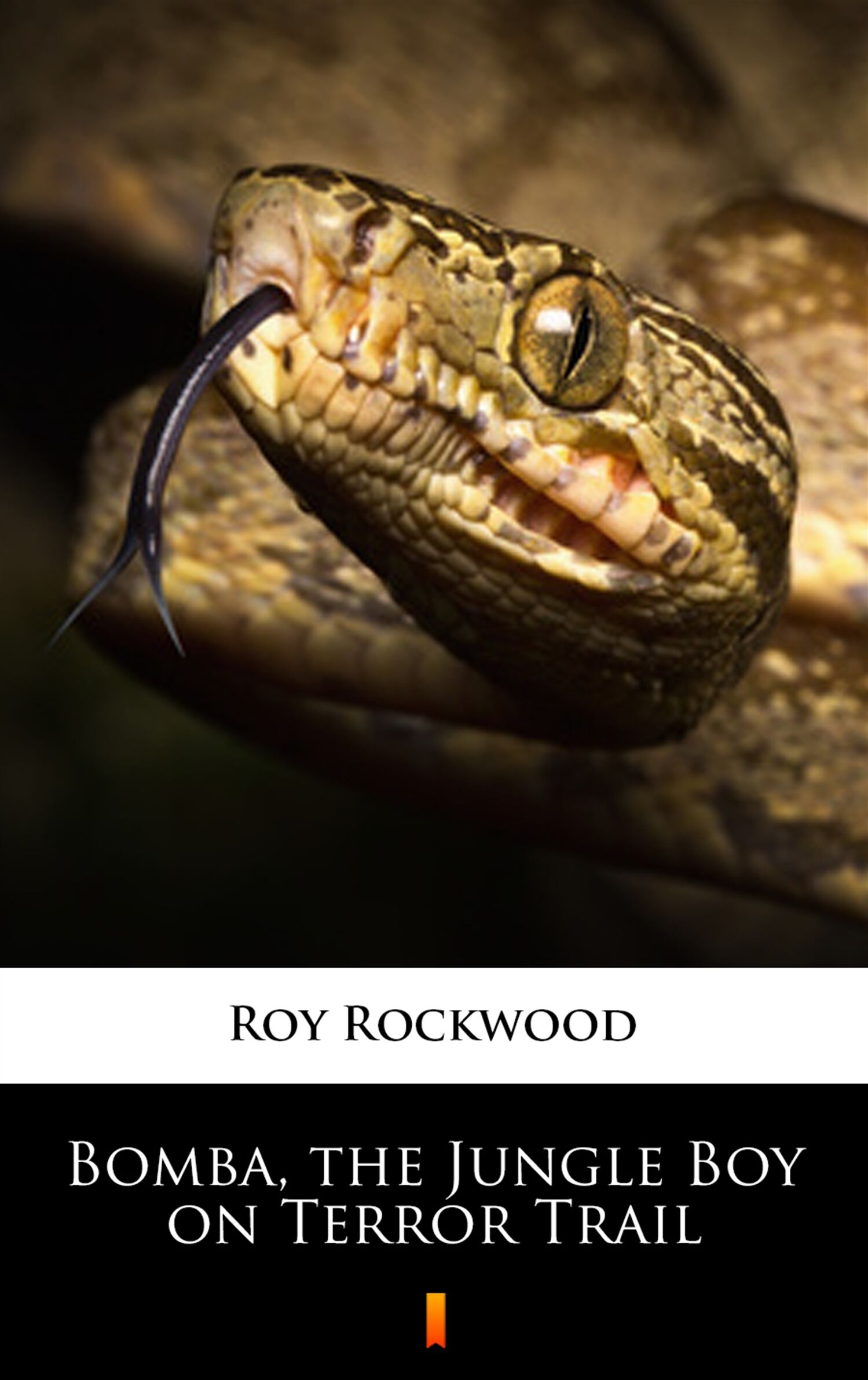 Bomba, the Jungle Boy on Terror Trail (e-book)