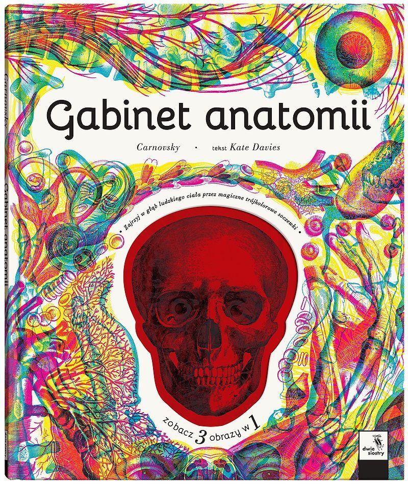 Gabinet owadów (i innych małych stworzeń)