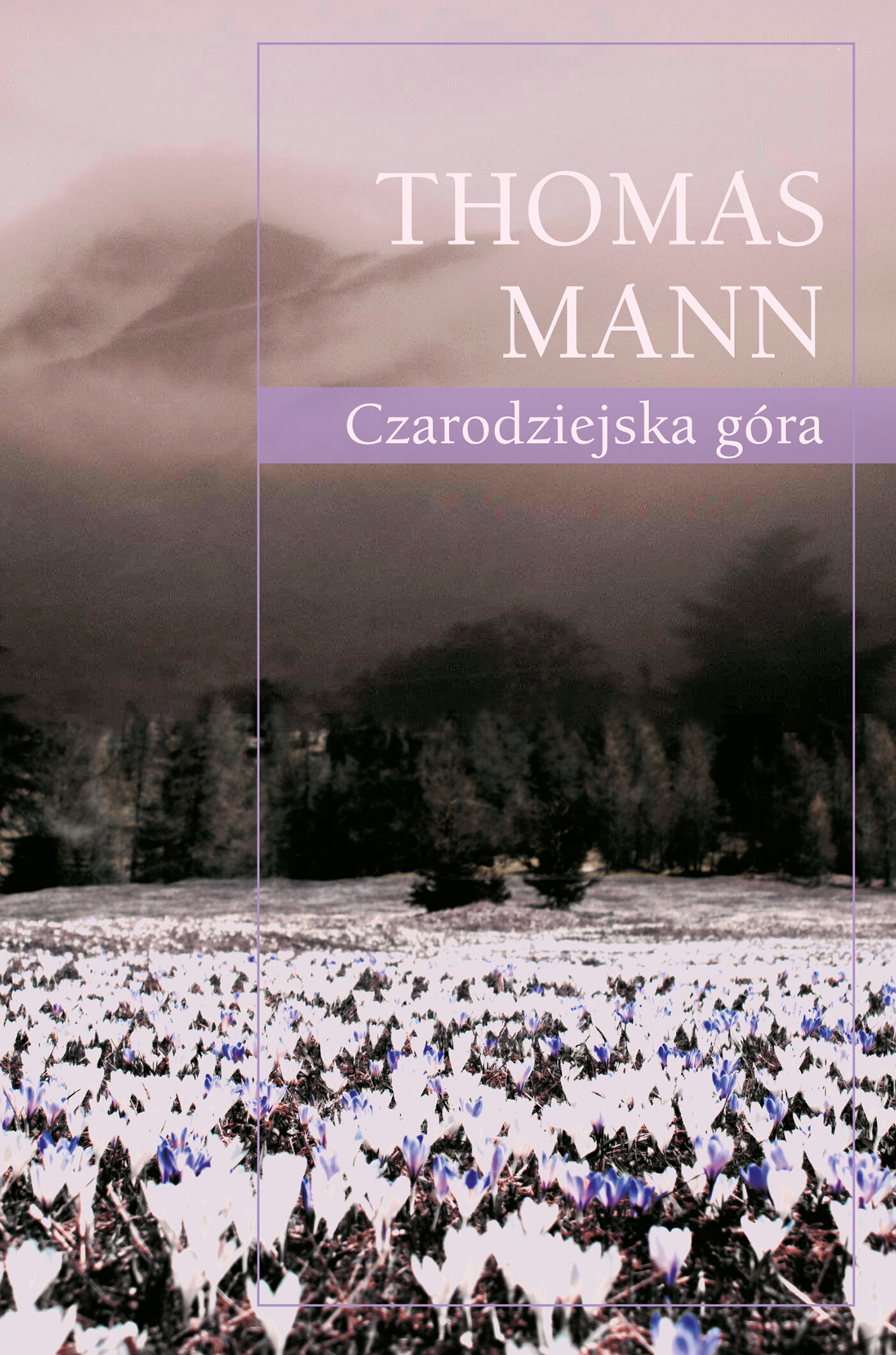 Czarodziejska góra (e-book)